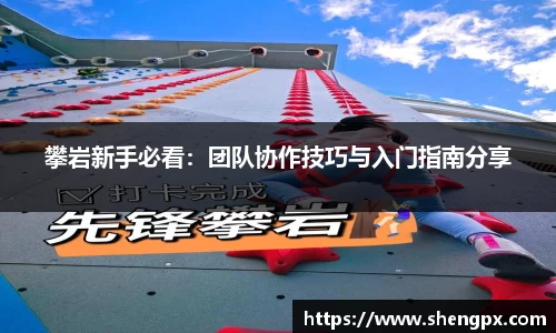 攀岩新手必看：团队协作技巧与入门指南分享