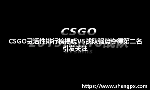CSGO灵活性排行榜揭晓V5战队强势夺得第二名引发关注